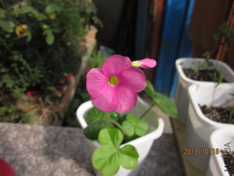 bbsIMG_2715.jpg