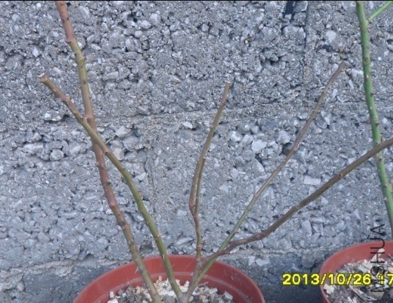QQͼƬ20131027224118.jpg
