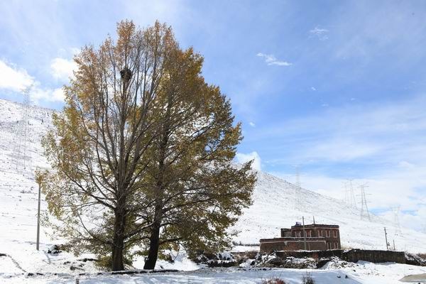 �¶��š����׸��ӣ���ѩ��֮һ (13).JPG