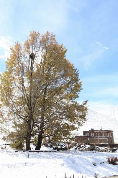 �¶��š����׸��ӣ���ѩ��֮һ (14).JPG