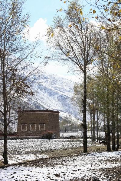 �¶��š����׸��ӣ���ѩ��֮һ (16).JPG