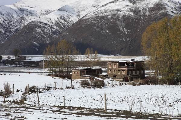 �¶��š����׸��ӣ���ѩ��֮һ (17).JPG