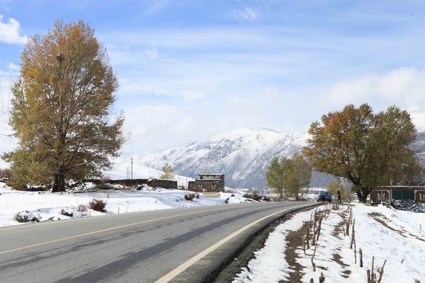 �¶��š����׸��ӣ���ѩ��֮һ (18).JPG