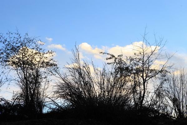 �¶��š����׸��ӣ���ѩ��֮һ (19).JPG