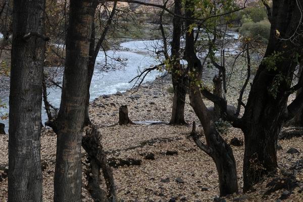 �¶��š����׸��ӣ���ѩ��֮һ (24).JPG