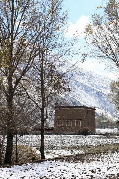 �¶��š����׸��ӣ���ѩ��֮һ (27).JPG