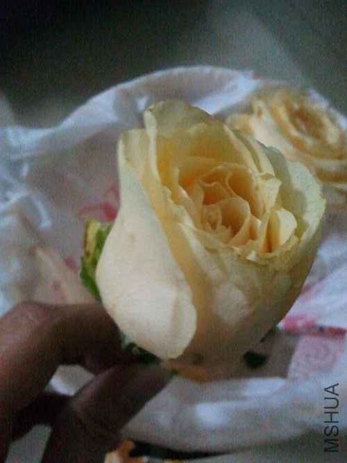 2013-10-27.jpg
