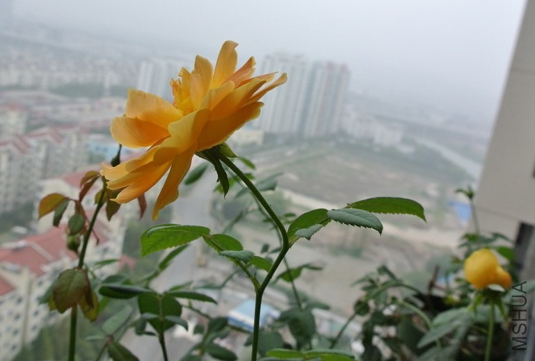 DSC_0300_������С.JPG