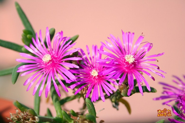 ��Ƭ 145_����.jpg