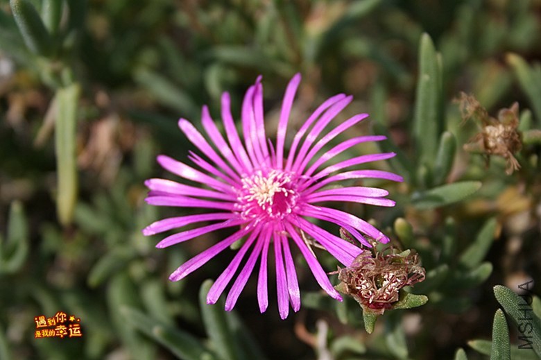 ��Ƭ 149_����.jpg