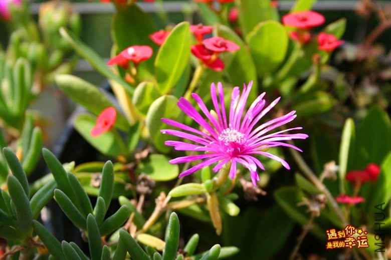 ��Ƭ 150_����.jpg