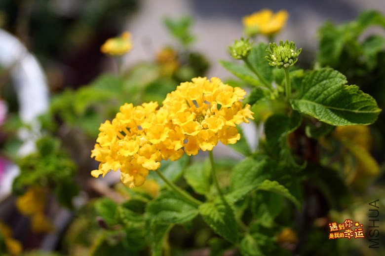 ��Ƭ 133_����.jpg