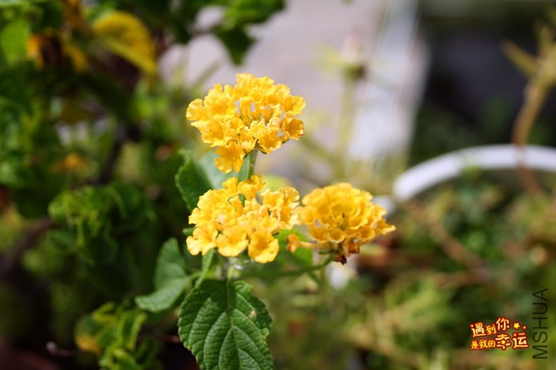 ��Ƭ 135_����.jpg