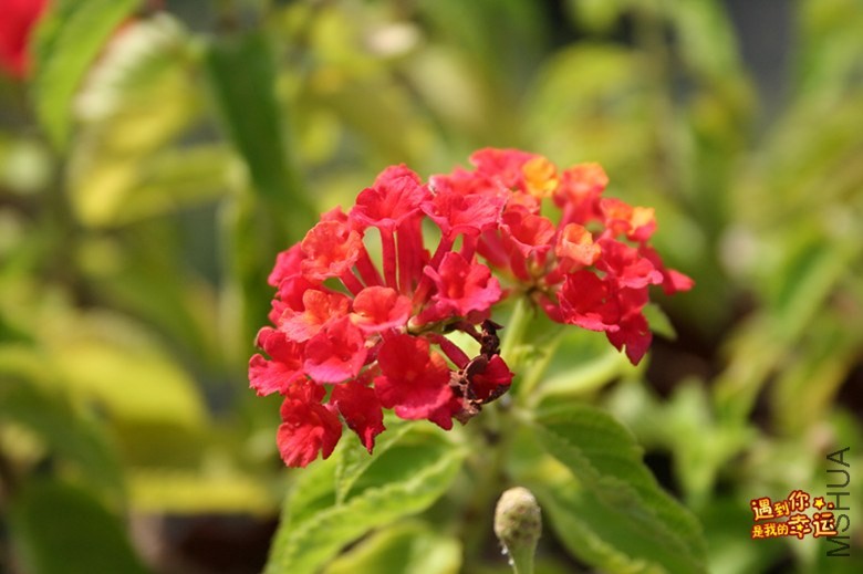 ��Ƭ 136_����.jpg