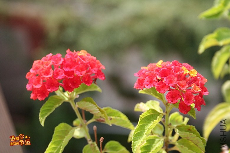 ��Ƭ 139_����.jpg