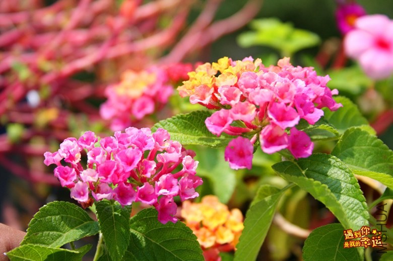 ��Ƭ 140_����.jpg