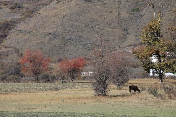 �¶��š��׸��ӣ���ѩ����֮���� (10).JPG