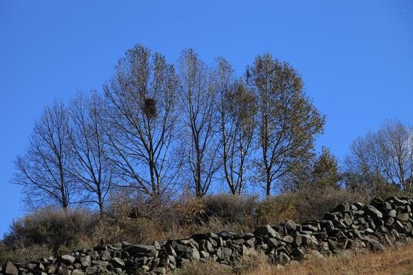 �¶��š��׸��ӣ���ѩ����֮���� (11).JPG