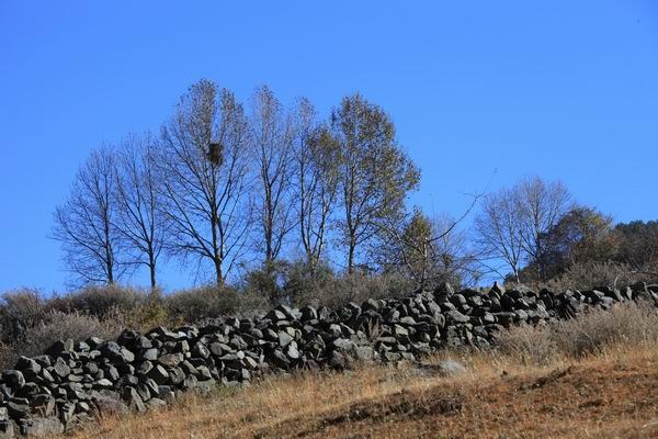 �¶��š��׸��ӣ���ѩ����֮���� (12).JPG