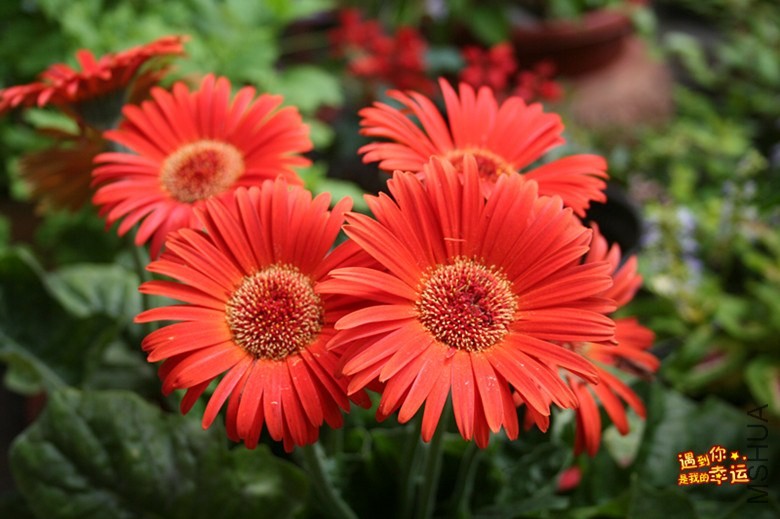 ��Ƭ 218_����.jpg