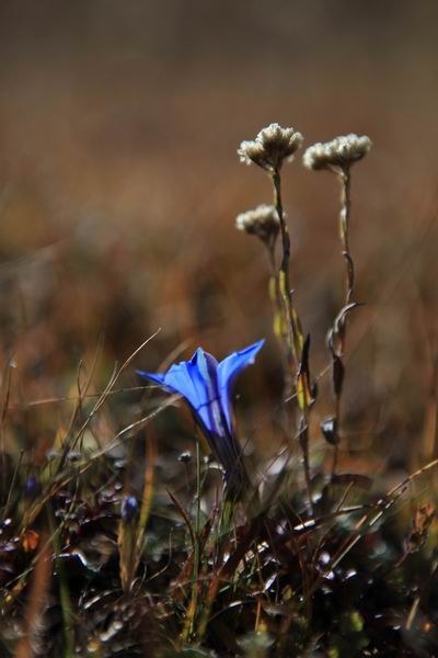 �¶��š��׸��ӣ���ѩ����֮���� (20).JPG