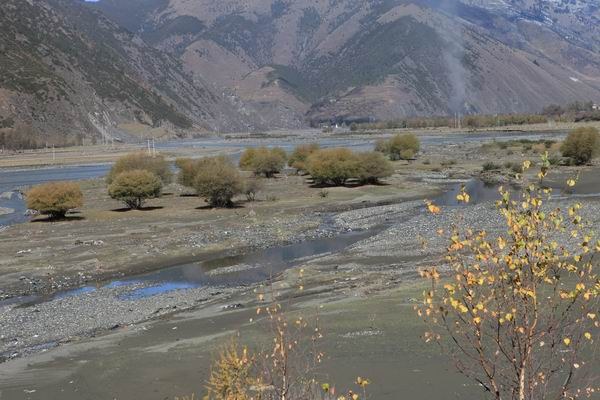 �¶��š��׸��ӣ���ѩ����֮���� (21).JPG