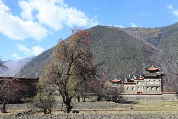 �¶��š��׸��ӣ���ѩ����֮���� (24).JPG