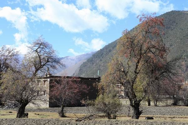 �¶��š��׸��ӣ���ѩ����֮���� (25).JPG