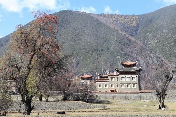 �¶��š��׸��ӣ���ѩ����֮���� (26).JPG