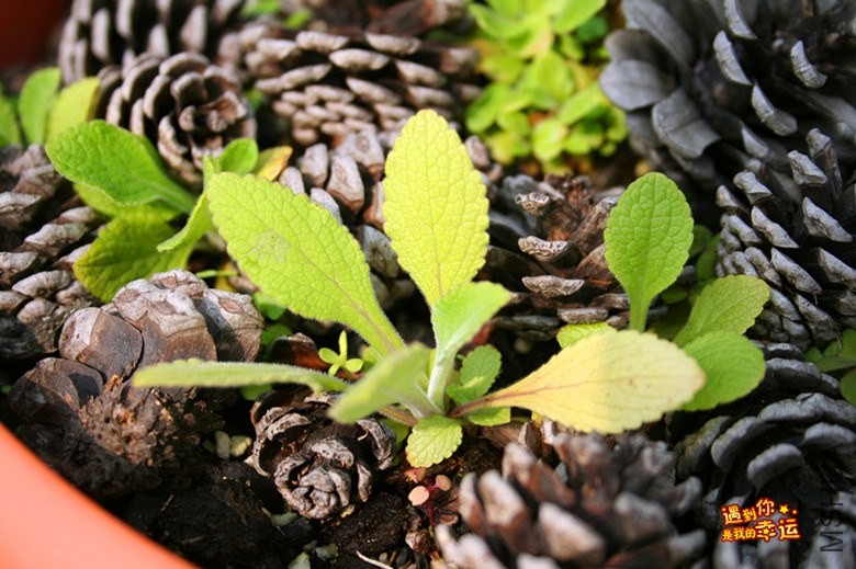 ��Ƭ 124_����.jpg