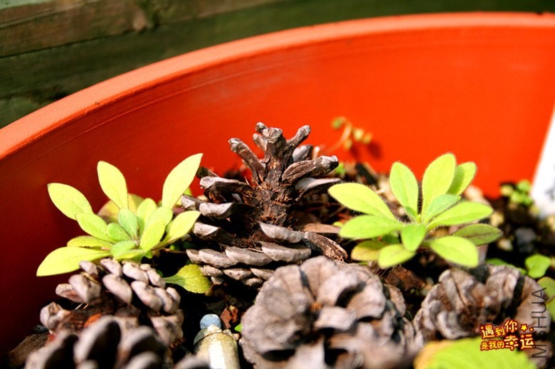 ��Ƭ 126_����.jpg