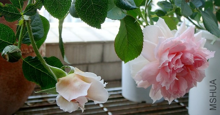 ��������һ��