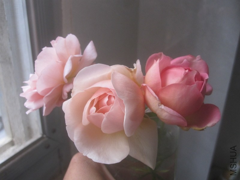 ��Ƭ 054_����.jpg