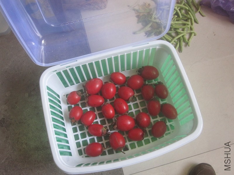 ��Ƭ 059_����.jpg