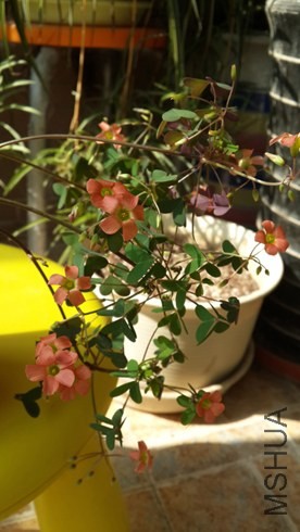 20131025_122104.jpg