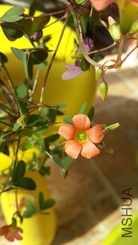 20131025_121842.jpg
