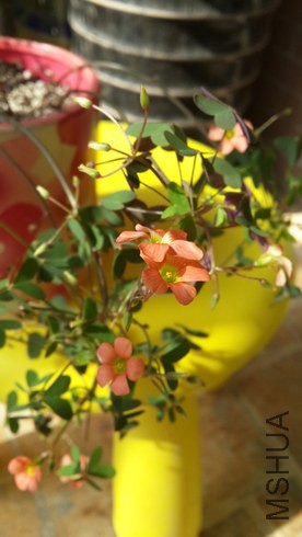 20131025_121938.jpg