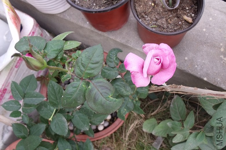 ��Ƭ 112_����.jpg