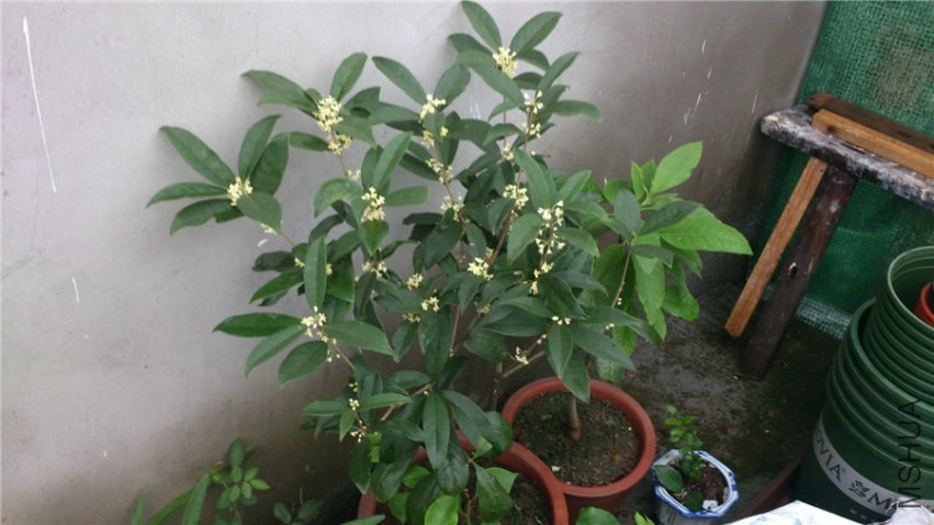 �����һ��