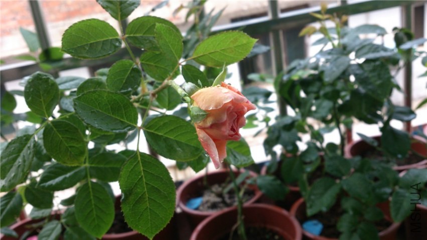 �ǲ�����һ��