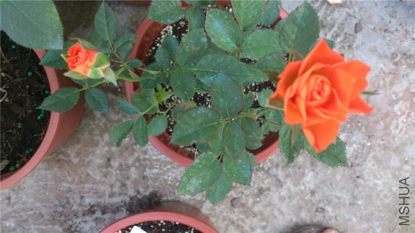 ������һ��