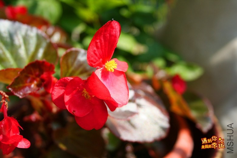 ��Ƭ 047_����.jpg