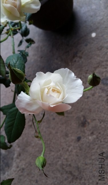 QQͼƬ20131030100125.jpg
