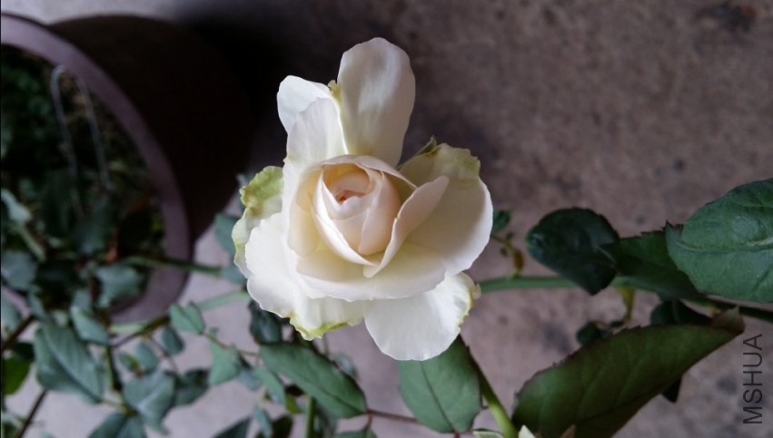 QQͼƬ20131030100226.jpg