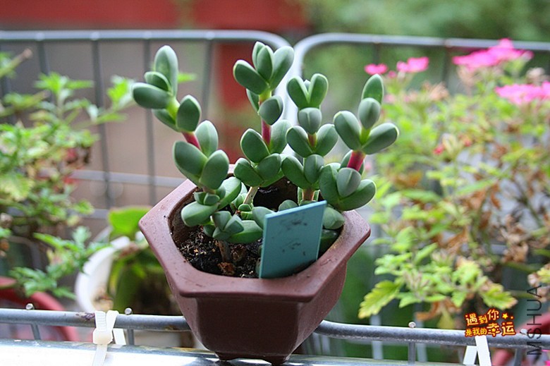 ��Ƭ 023_����.jpg