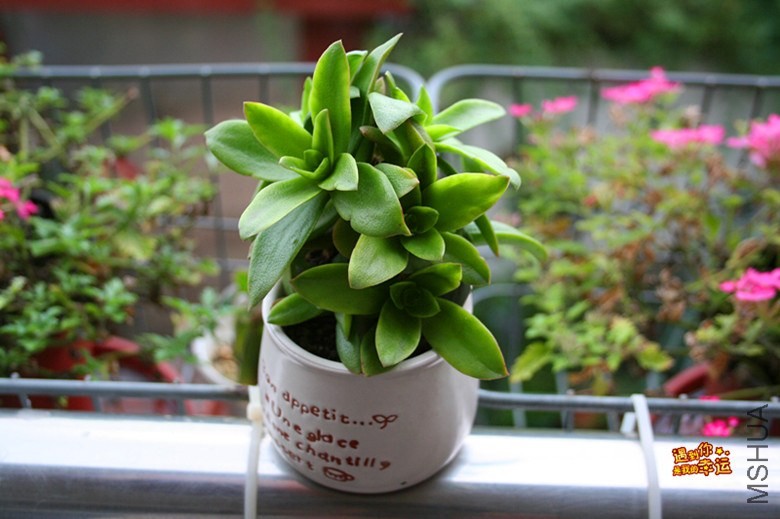 ��Ƭ 024_����.jpg