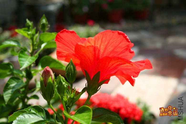 ��Ƭ 215_����.jpg