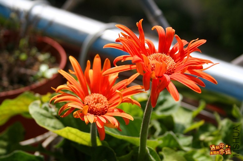 ��Ƭ 155_����.jpg