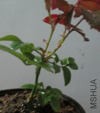 QQͼƬ20131030202040.jpg