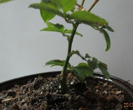 QQͼƬ20131030201939.jpg